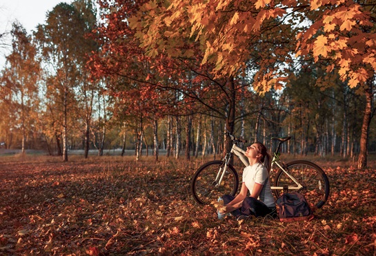 Autumn mountainbike Schoorl